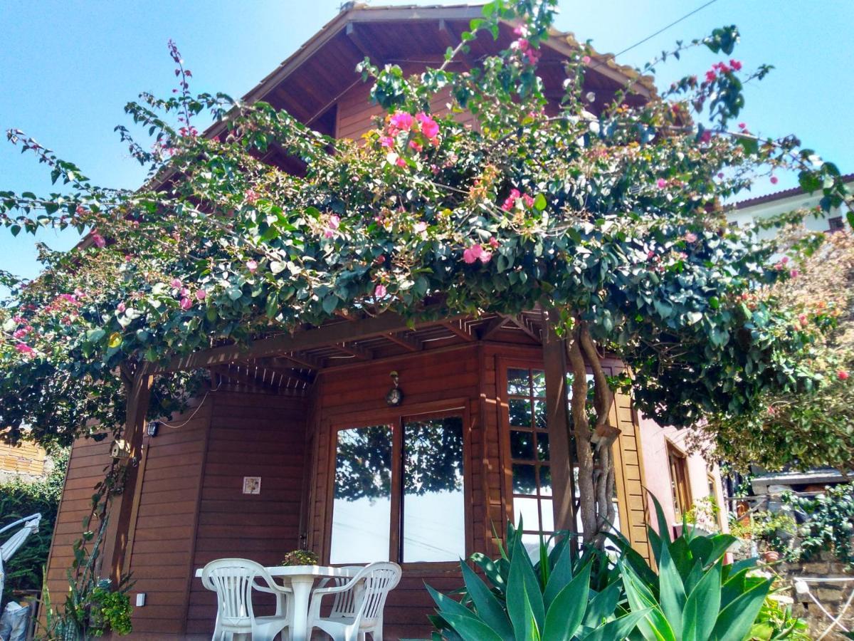 Casa Na Ilha Da Magia Βίλα Florianópolis Εξωτερικό φωτογραφία