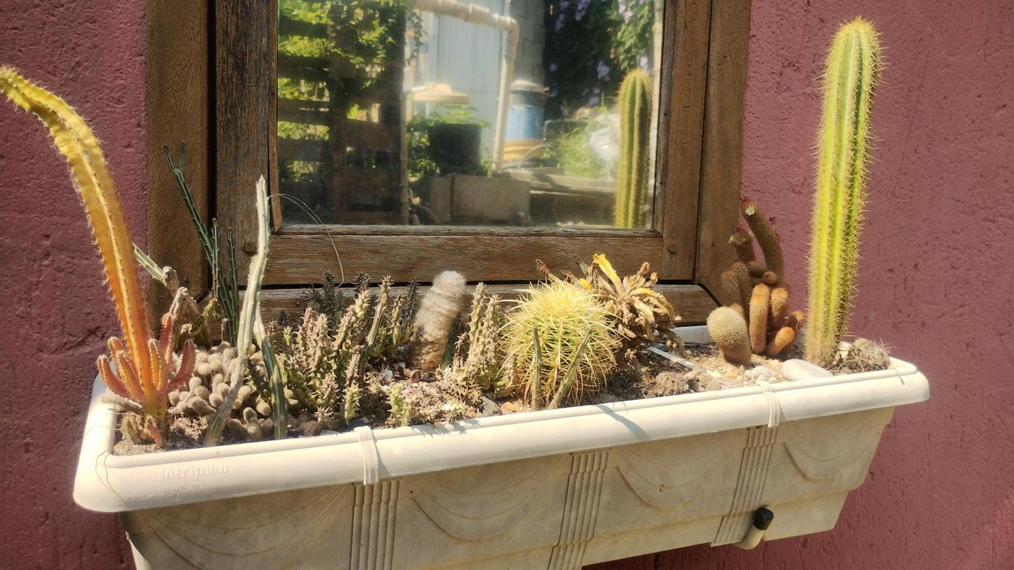 Casa Na Ilha Da Magia Βίλα Florianópolis Εξωτερικό φωτογραφία