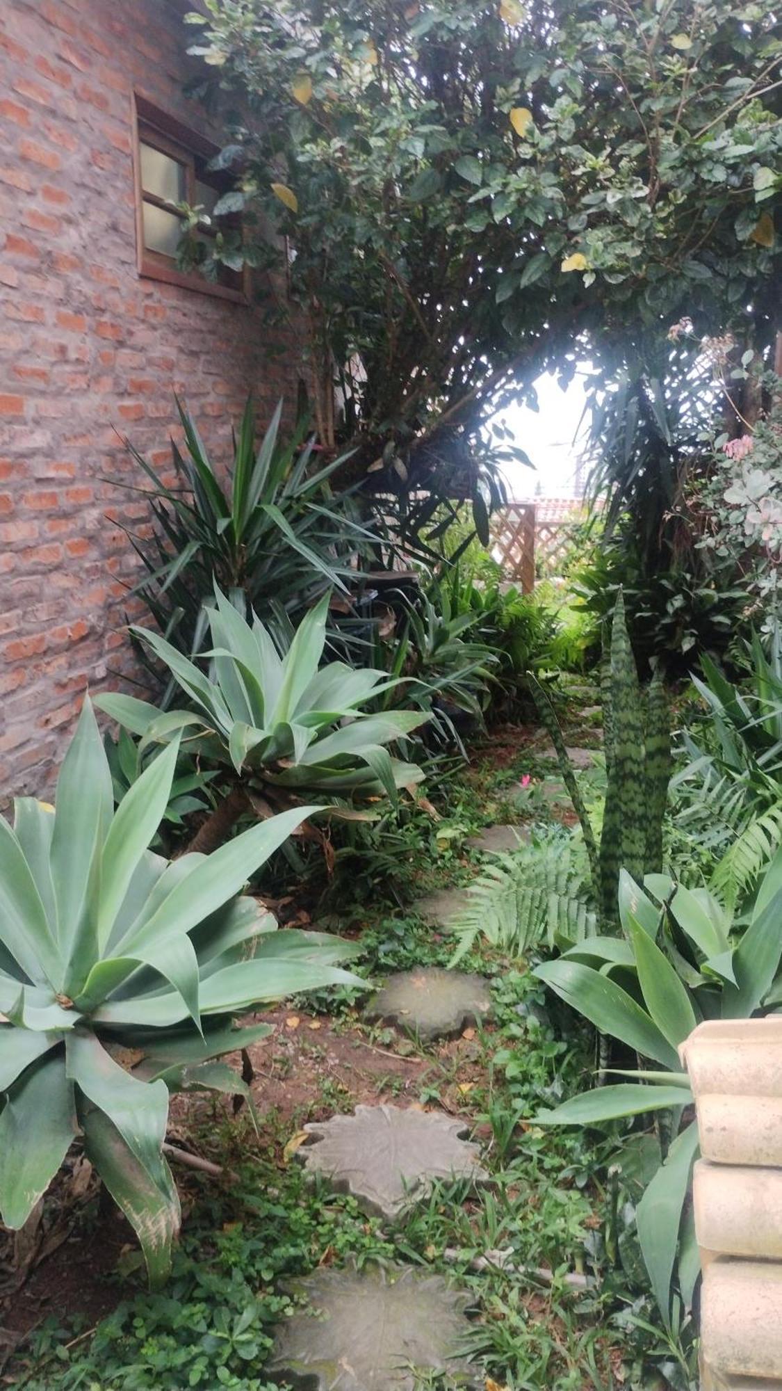 Casa Na Ilha Da Magia Βίλα Florianópolis Εξωτερικό φωτογραφία