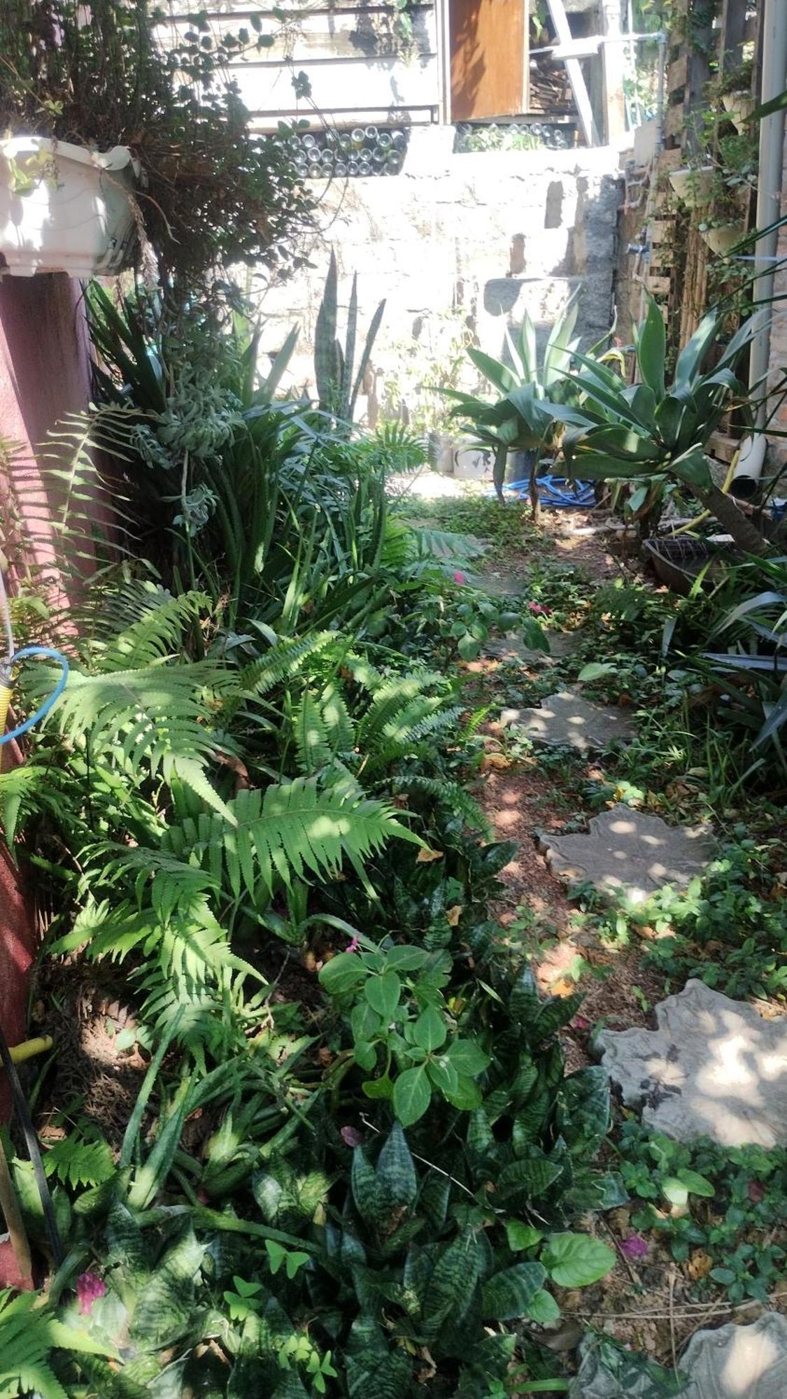 Casa Na Ilha Da Magia Βίλα Florianópolis Εξωτερικό φωτογραφία